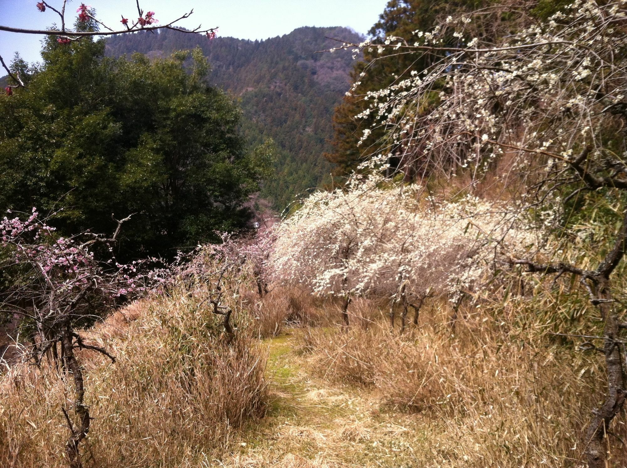 צו Hinotani Onsen Misugi Resort מראה חיצוני תמונה